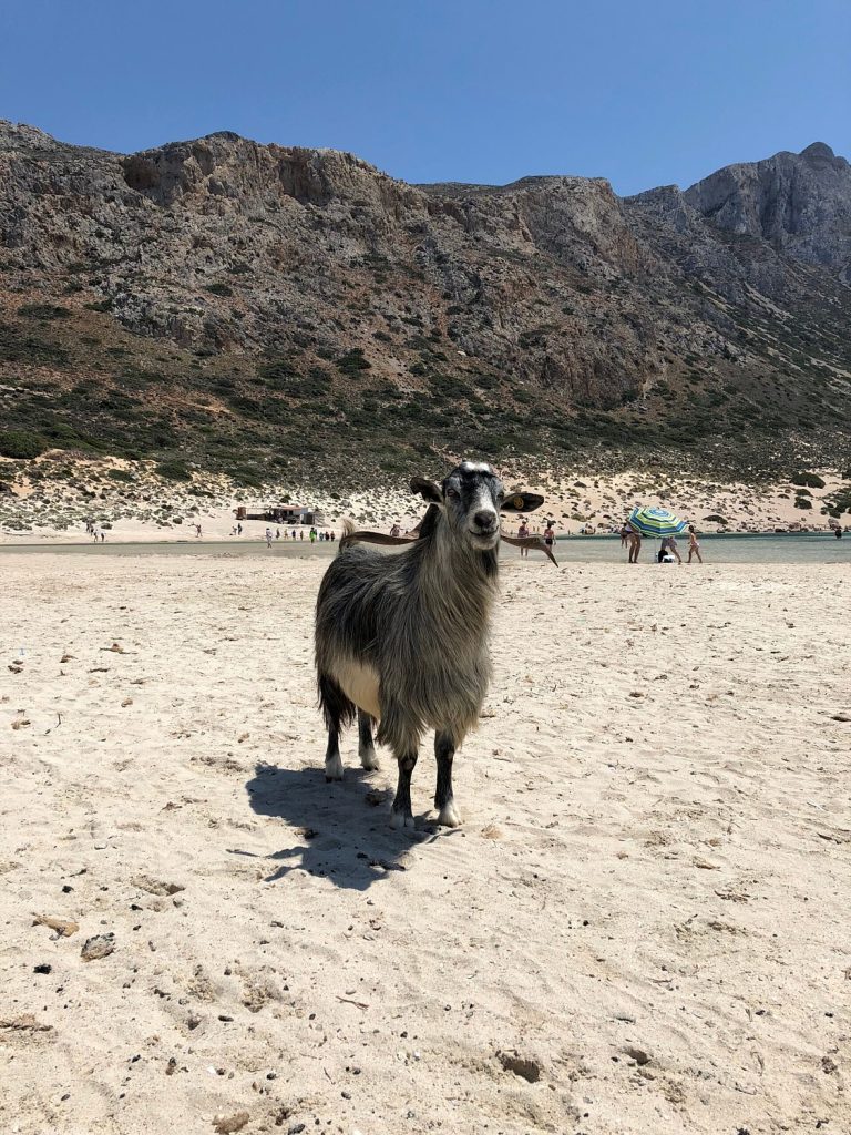 Balos-Gramvousa-0009