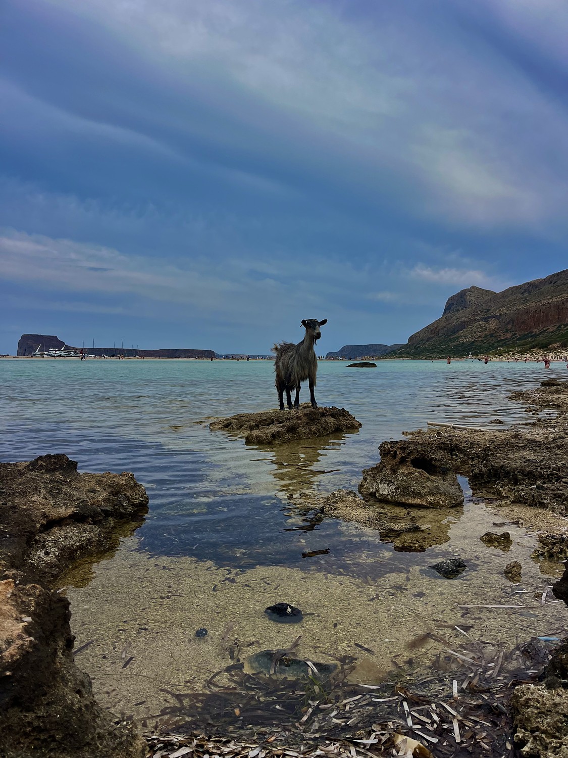 Wild Cretan Nature 
